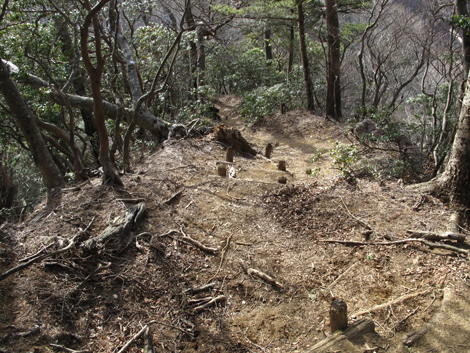 20190108hike (301)
